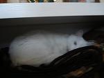     
: DSC02649.JPG
: 10
:	150.4 
ID:	6078275