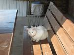     
: DSC02661.JPG
: 7
:	137.2 
ID:	6078277