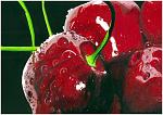     
: ab9bbf69de4e657ff203c502f028d67a.jpg
: 22
:	41.8 
ID:	6080702