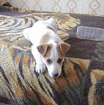     
: IMG_0045.jpg
: 19
:	137.4 
ID:	6089633