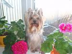     
: P3251473.JPG
: 36
:	79.1 
ID:	6092123