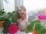     
: P3251472.JPG
: 42
:	76.4 
ID:	6092126