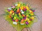     
: DSC_0113.jpg
: 7
:	195.6 
ID:	6095836