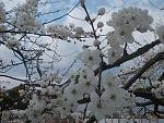     
: nqpmFEJG8r4.jpg
: 4
:	239.5 
ID:	6097323