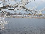    
: U4ATYyX0dwE.jpg
: 1
:	181.6 
ID:	6097327