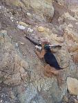     
: 20130417_180059.jpg
: 29
:	178.9 
ID:	6097687