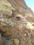     
: 20130417_180124.jpg
: 44
:	171.6 
ID:	6097688