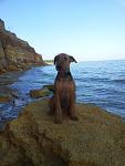     
: 20130417_181824.jpg
: 28
:	100.0 
ID:	6097692