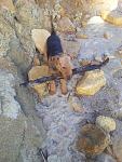     
: 20130417_180055.jpg
: 44
:	165.7 
ID:	6097695