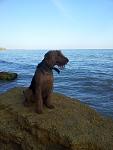     
: 20130417_181831.jpg
: 34
:	98.0 
ID:	6097696