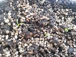     
: 20130417_175135.jpg
: 4
:	274.4 
ID:	6099337