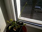    
: 20130417_175033.jpg
: 3
:	183.2 
ID:	6099340