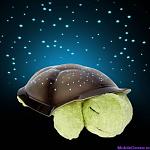     
: _________________4d583f837e3fa.jpg
: 12
:	24.4 
ID:	6100981