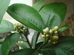     
: DSC03608.jpg
: 3
:	92.8 
ID:	6103936