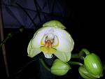     
: 20130325_090227.jpg
: 3
:	68.5 
ID:	6104184