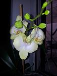     
: 20130330_152657.jpg
: 3
:	60.2 
ID:	6104188