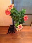    
: image.jpg
: 7
:	100.9 
ID:	6110224