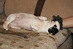     
: IMG_7633.jpg
: 30
:	128.4 
ID:	6110381