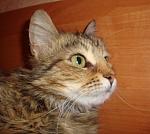     
: DSC02313.jpg
: 8
:	99.6 
ID:	6116628