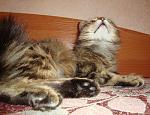     
: DSC02297.jpg
: 7
:	180.9 
ID:	6116633