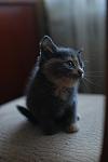     
: ! DSC_7510.jpg
: 3
:	37.9 
ID:	6117425