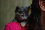     
: ! DSC_7519.jpg
: 2
:	66.2 
ID:	6117427