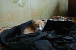     
: DSC_7516.jpg
: 4
:	59.5 
ID:	6117449