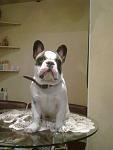    
: Р&#164;РѕС‚Рѕ0131.jpg
: 9
:	69.1 
ID:	6119026