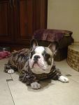     
: Р&#164;РѕС‚Рѕ0160.jpg
: 9
:	74.5 
ID:	6119031