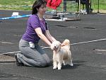     
: IMG_6525.jpg
: 7
:	213.8 
ID:	6119317