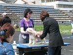     
: IMG_6517.jpg
: 9
:	196.9 
ID:	6119319