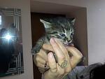     
: 20130422_102355.jpg
: 7
:	93.6 
ID:	6120453