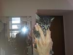     
: 20130422_102408.jpg
: 6
:	85.3 
ID:	6120457
