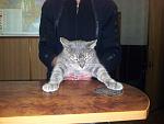     
: 20130218_175449.jpg
: 13
:	118.7 
ID:	6120628