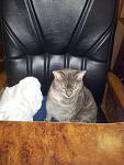     
: 20130215_083037.jpg
: 17
:	123.8 
ID:	6120639