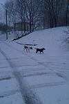     
: IMAG0110.jpg
: 4
:	102.7 
ID:	6122117