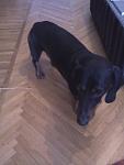     
: Фото0071.jpg
: 40
:	55.9 
ID:	6122469