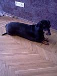     
: Фото0073.jpg
: 37
:	90.8 
ID:	6122471