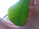     
: 2013-04-22 18.04.11.jpg
: 4
:	135.9 
ID:	6124176