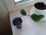     
: 2013-04-22 18.21.44.jpg
: 2
:	123.4 
ID:	6124178