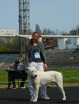     
: DSCN2425.jpg
: 6
:	102.8 
ID:	6125034