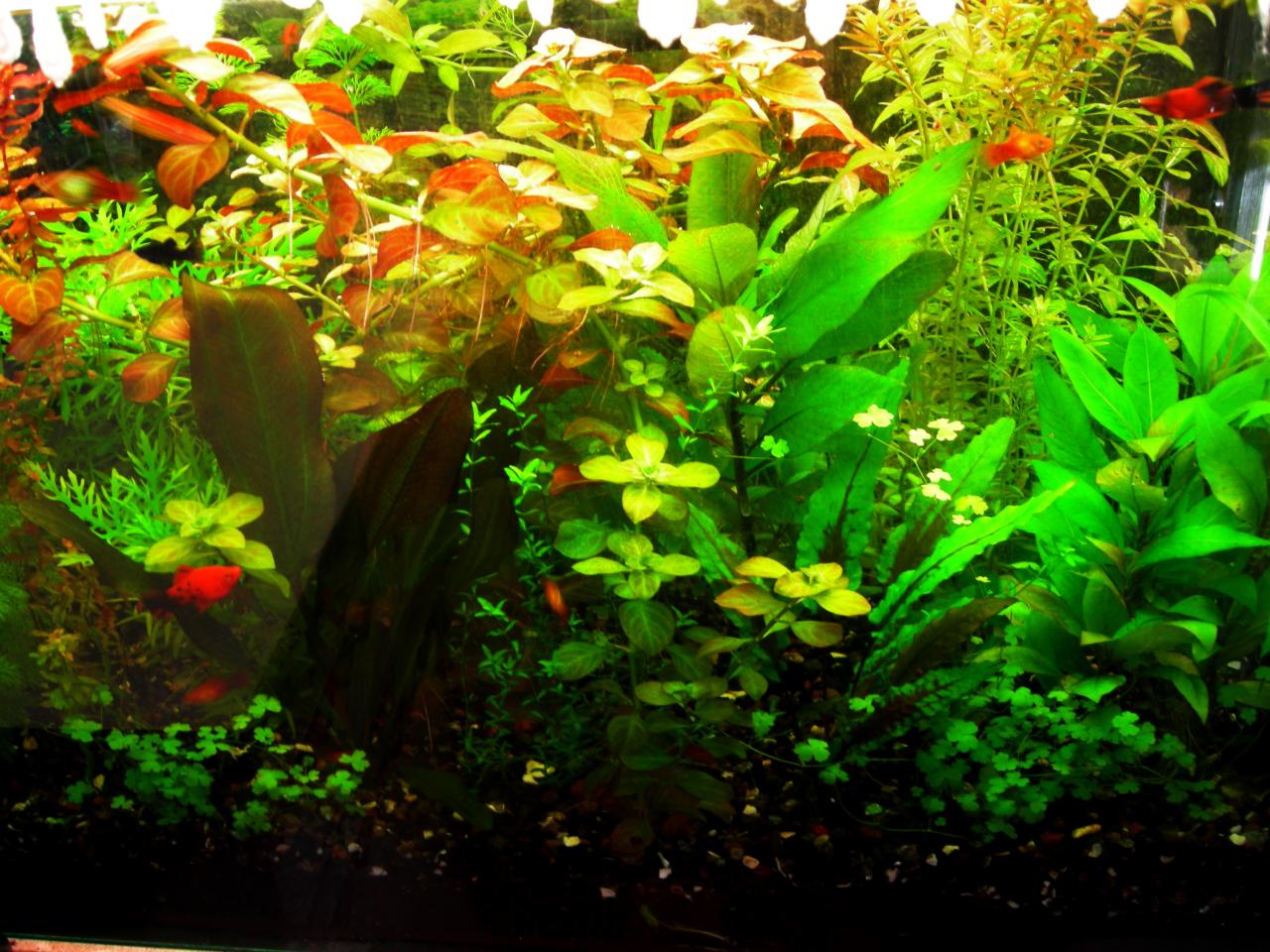     
: DSCN1384.jpg
: 89
:	203.3 
ID:	6125424