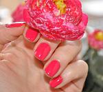     
: _DSC opi koala bear-y (75).jpg
: 12
:	91.5 
ID:	6126559