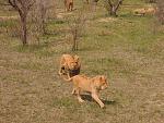     
: DSCN2666.jpg
: 14
:	272.5 
ID:	6127110