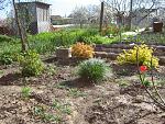     
: IMG_1183.jpg
: 4
:	307.7 
ID:	6130674