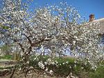     
: IMG_1188.jpg
: 6
:	306.7 
ID:	6130689