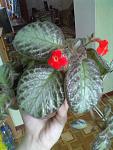     
: 21042013193.jpg
: 16
:	90.3 
ID:	6132277