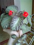     
: 21042013194.jpg
: 18
:	83.1 
ID:	6132278