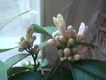    
: DSC03671.jpg
: 18
:	84.6 
ID:	6133424