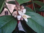     
: DSC03720.jpg
: 8
:	92.9 
ID:	6133427